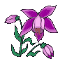 nature14.gif