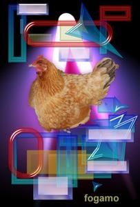 poule-rousse.jpg