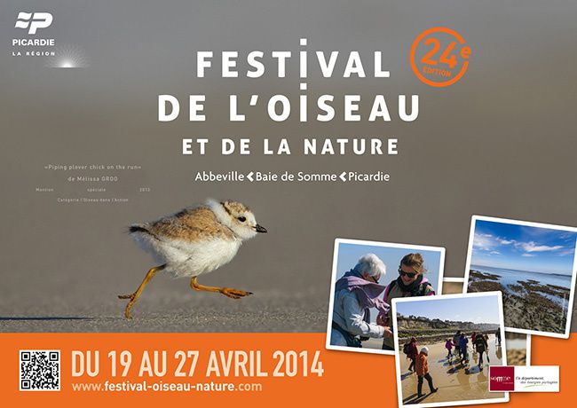 festival-oiseau-2014.jpg