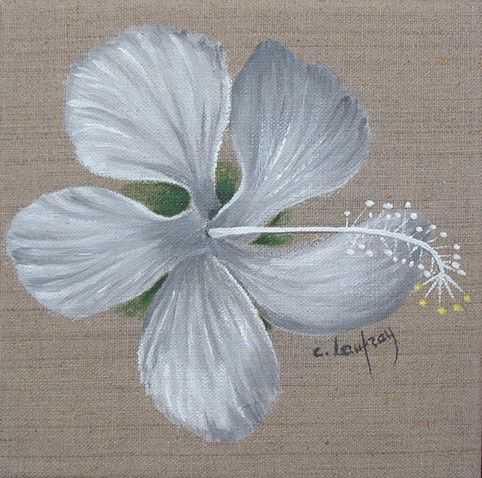 peinture-toile-lin-hibiscus-blanc.jpg