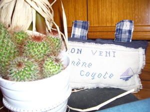 michele-025.jpg