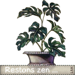 restonszen.gif