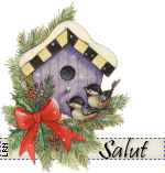 salutoisohome.gif