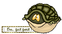 brrfaisfroid.gif