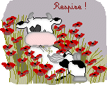 22466667.gif