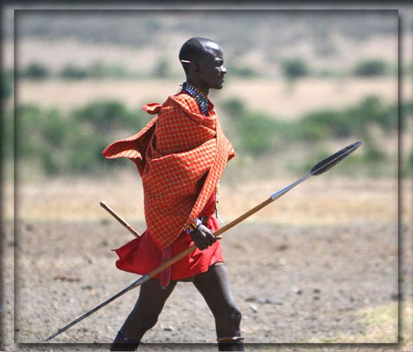 Kenya masaï
