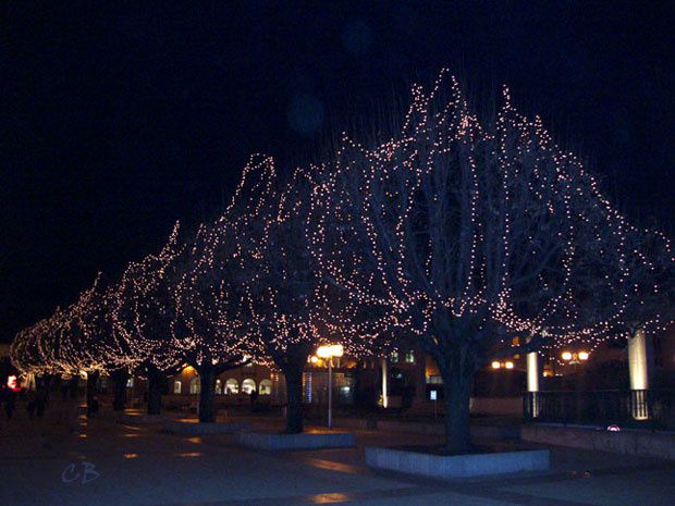 Besançon - arbres illuminés