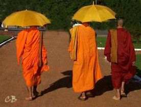 Cambodge moines bouddhistes Cambodge moines bouddhistes