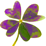 trèfle quatre feuilles violet