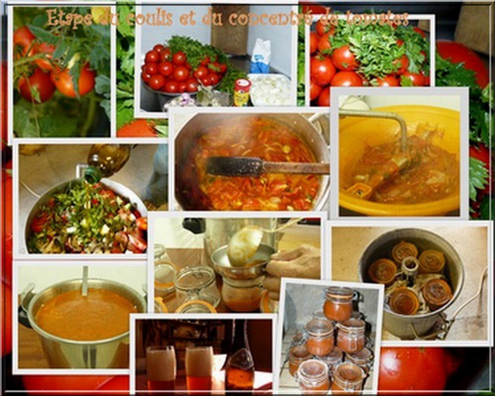 coulis_potage_tomate_concentré_cuisine