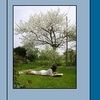 la discrète