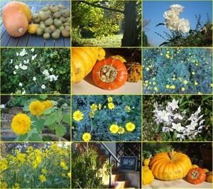 automne.jpg