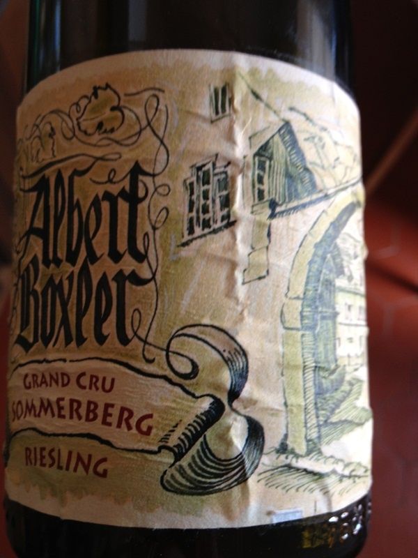 boxler somm E