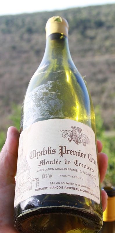Chablis-1595.JPG