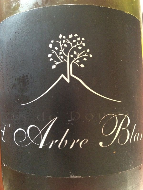 arbre-blanc09.JPG