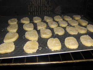 002-copie-18.JPG