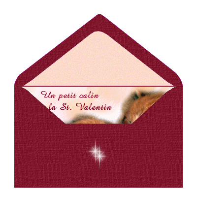 st-valentin-chats-dans-enveloppe.gif