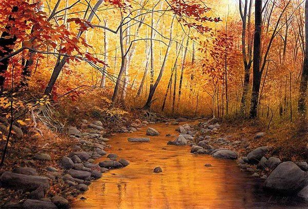 paysage d'automne ruisseau bois