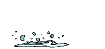 poisson-saute.gif