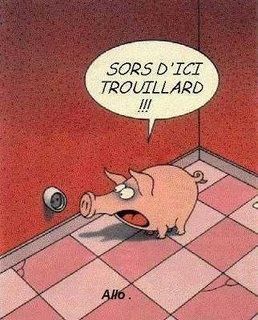 cochon-rose.jpg