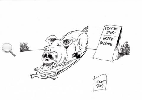 grippe-porcine.jpg