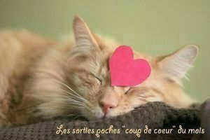 cpd-de-coeur-poche.jpg
