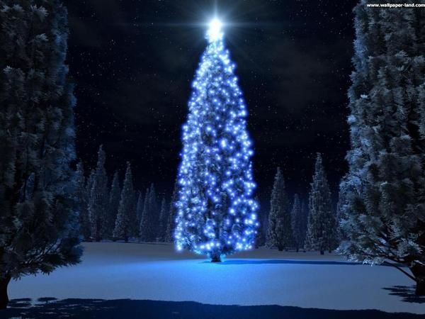 fond-ecran-sapin-de-noel-lumineux.jpg