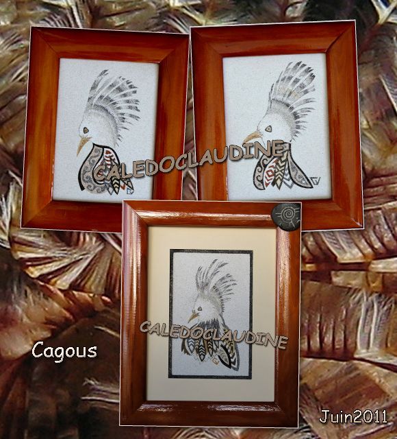 cagous-blog--juin11.jpg
