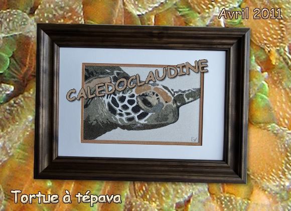 tortuetepava-blog-avril11.jpg