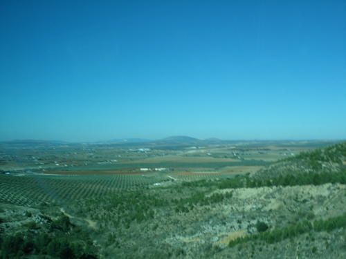 DSC00717.JPG