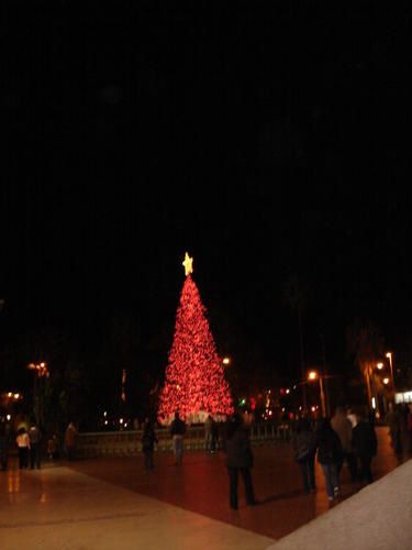DSC01073.JPG
