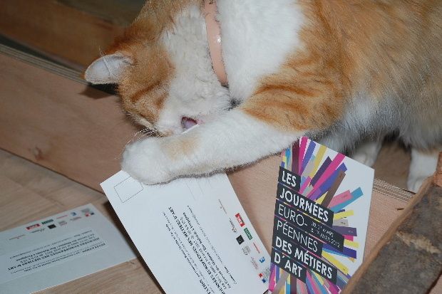 affiche-metier-art-12-chat-c.JPG