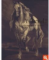 a-cheval.JPG