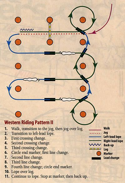 trace-travail-cheval-equitation-americaine.jpg