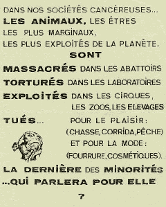 affiche-manifeste2-small.gif