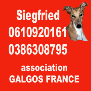 tel.gif