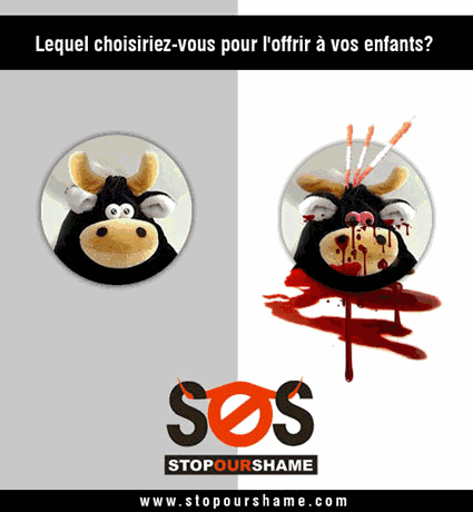 stop-our-shame-corrida