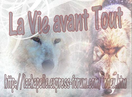 canada-la-vie-avant-tout-forum-animaux