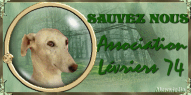banni-re-galgos.gif2.gif