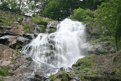 2010-05-26---Todnau.jpg
