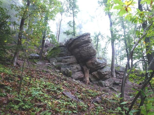 2012-10-10---678.JPG