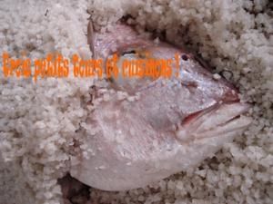poissoncroutesel.jpg