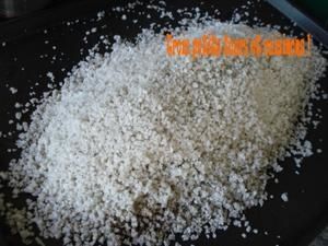 poissoncroutesel1.jpg