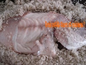 poissoncroutesel3.jpg