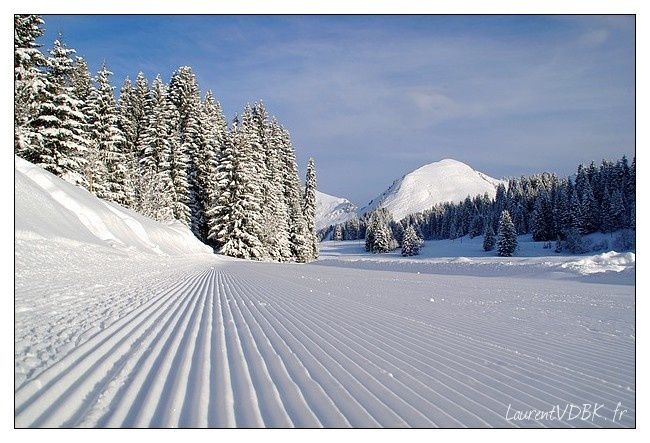 Praz de Lys - Neige et Soleil - 2022