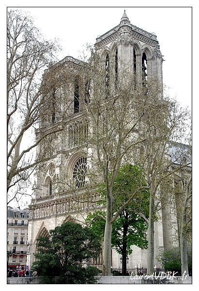 Bouquinistes Quais Notre Dame Paris 0006