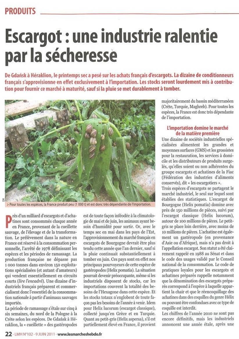 Image1-copie-7.jpg
