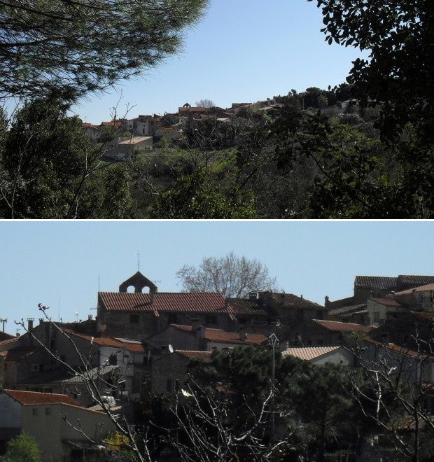 llauro 1