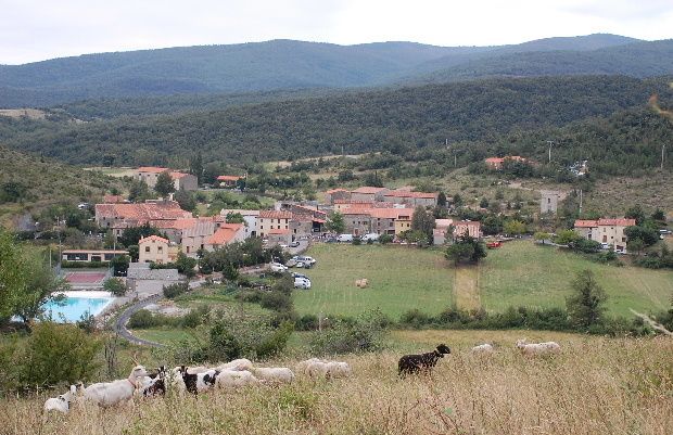 fosse 2010a village et chevres