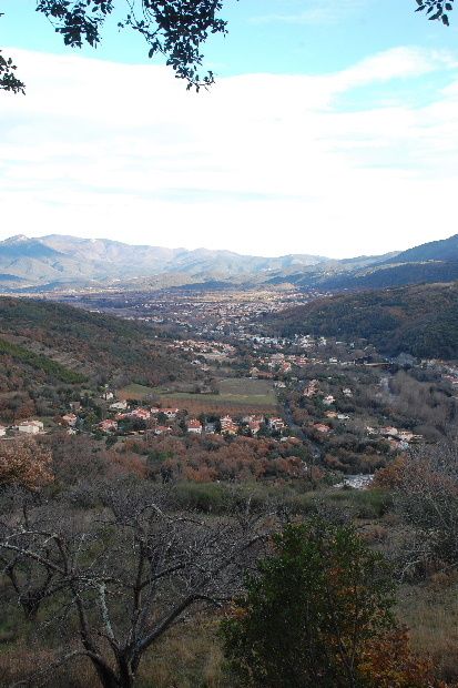 roure-b.JPG